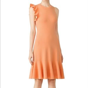 Proenza Schouler Shoulder Ruffle Dress (Peach)